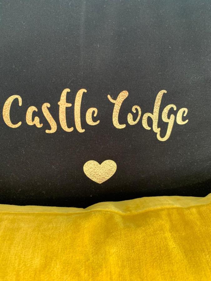 Castle Lodge Guest House Newport  Zewnętrze zdjęcie
